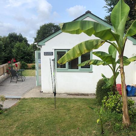 Sycamore Bungalow Perranwell Bagian luar foto